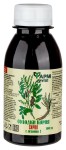 Солодки корня сироп с витамином С, сироп 100 мл 1 шт БАД